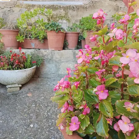 San Jose Pensión *