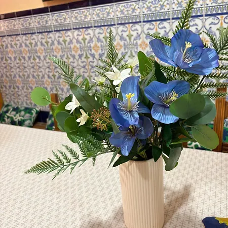 Prázdninový dům San Jose