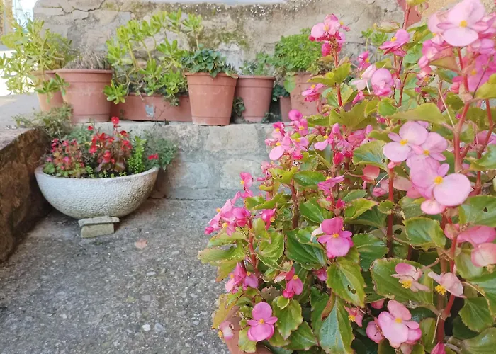 Casa vacanze San José *