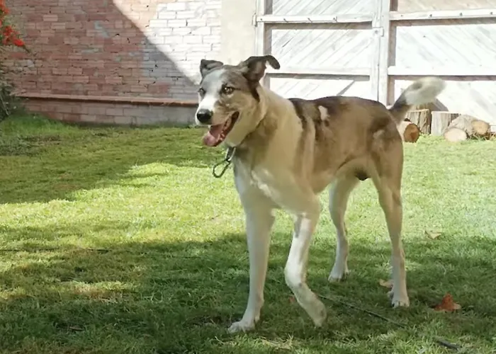 Casa vacanze San José